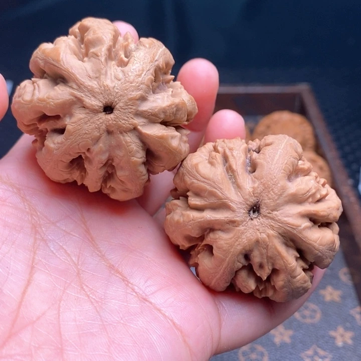 把件文玩核桃霸王龙45尺