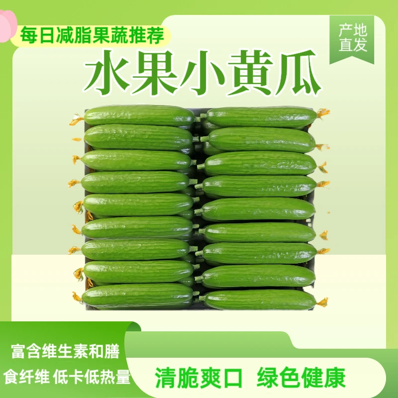 【刘先生果蔬严选】山东新鲜水果小黄瓜现摘现发脆嫩无刺生吃爽口
