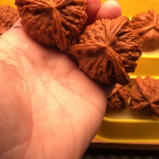 雄***鹰吊坠文玩核桃核桃核桃核桃核桃咯