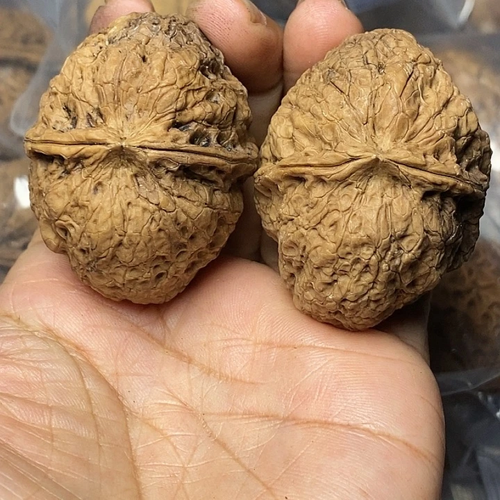 把件文玩核桃云南铁核桃93