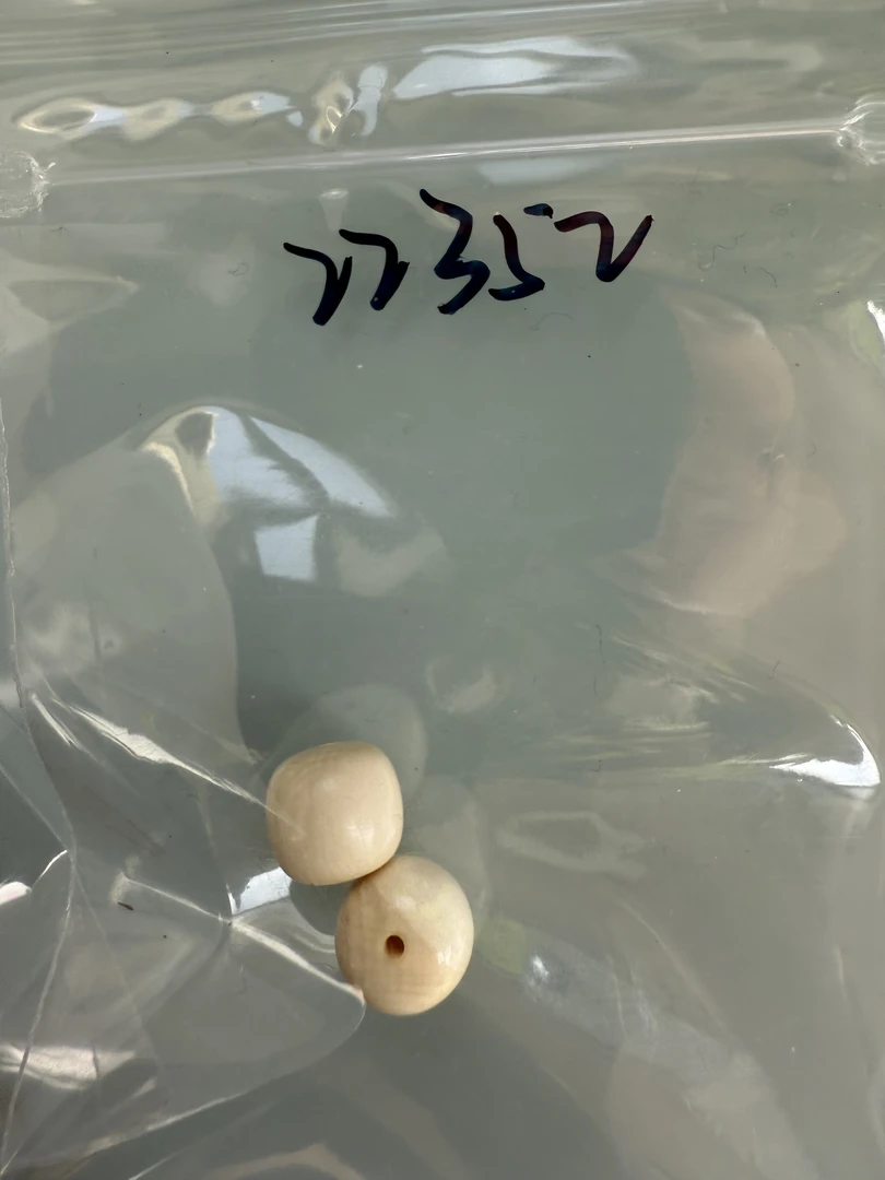 22352天然猛犸牙对珠瑕疵配饰介意勿拍