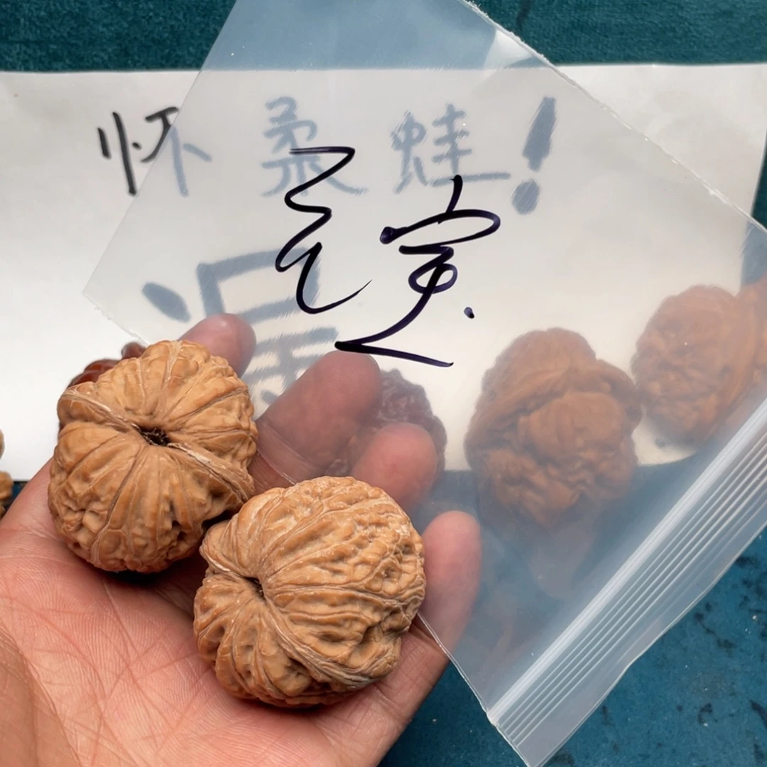 核桃273573735735357573