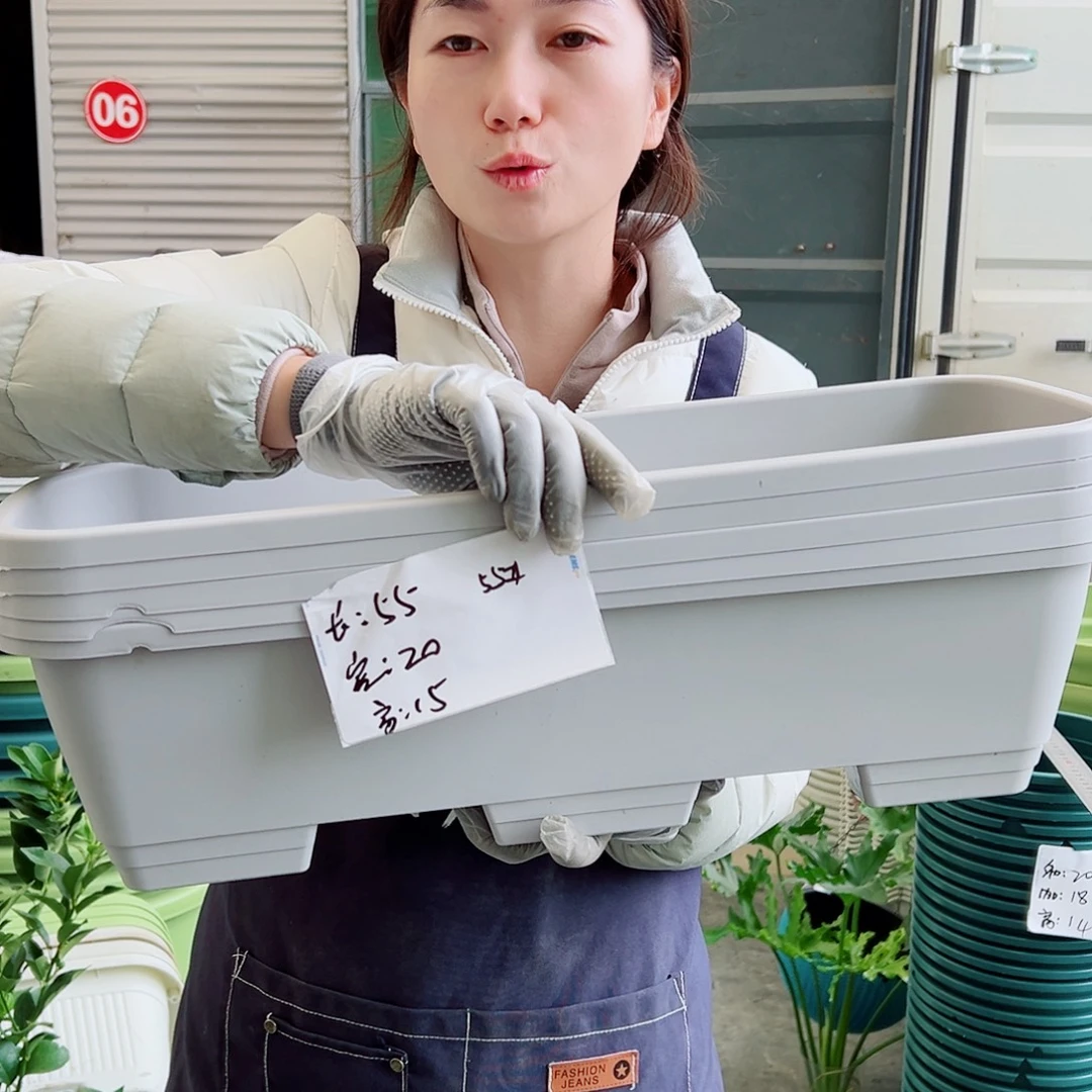 瑕疵菜盆55#灰白5个无托