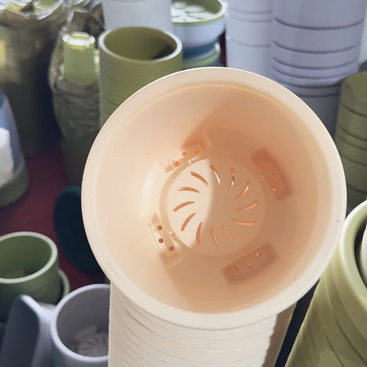 球根17口径10个无托米黄