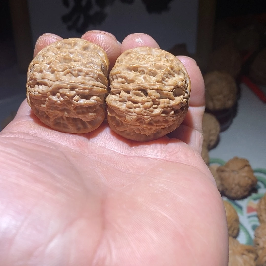 文玩核桃把件多****象38尺白狮子