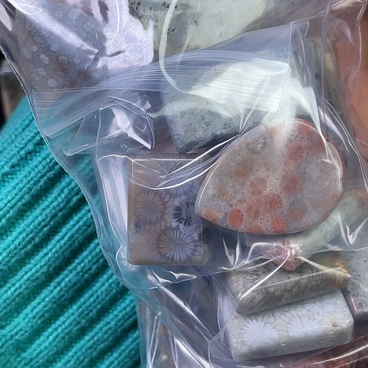 硅化珊瑚（珊瑚玉）珠宝合金合金灾*