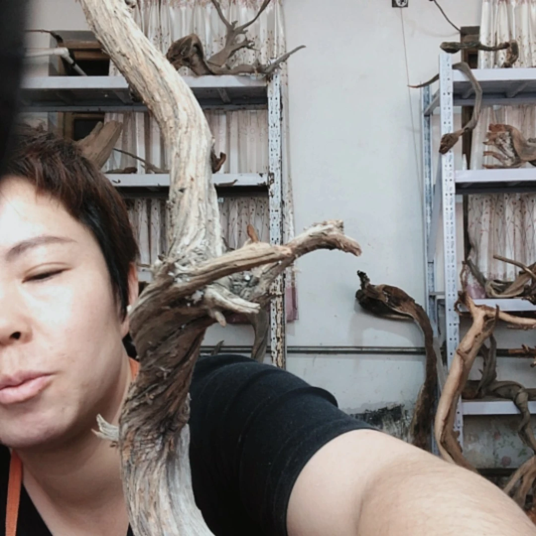 【闪购商品】香榧木东**旭1111111111111111