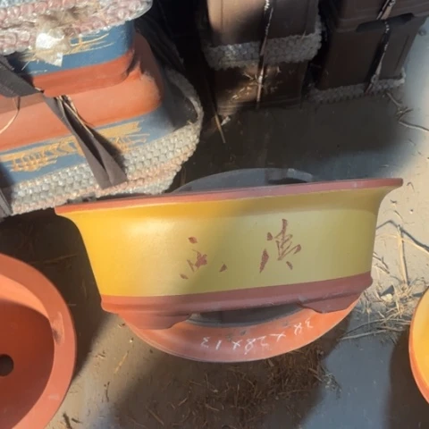 紫砂花盆40-1。40-1。。。。。