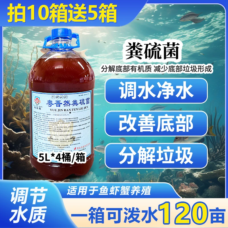 粤晋然液体粪硫菌水产专用鱼虾蟹池塘生物改底分解淤泥黑泥有机质