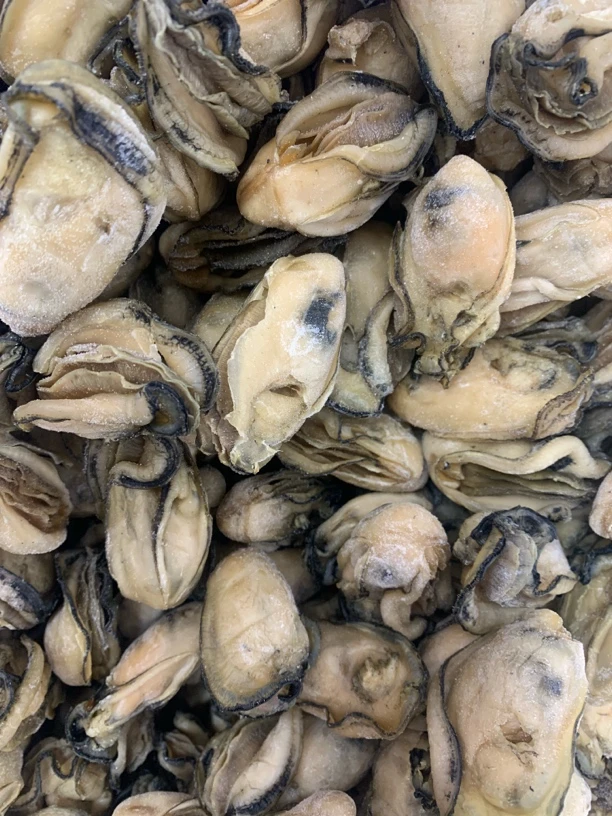 【蚝西施专线】本港晨洲半干35-45头（3L）金蚝包邮