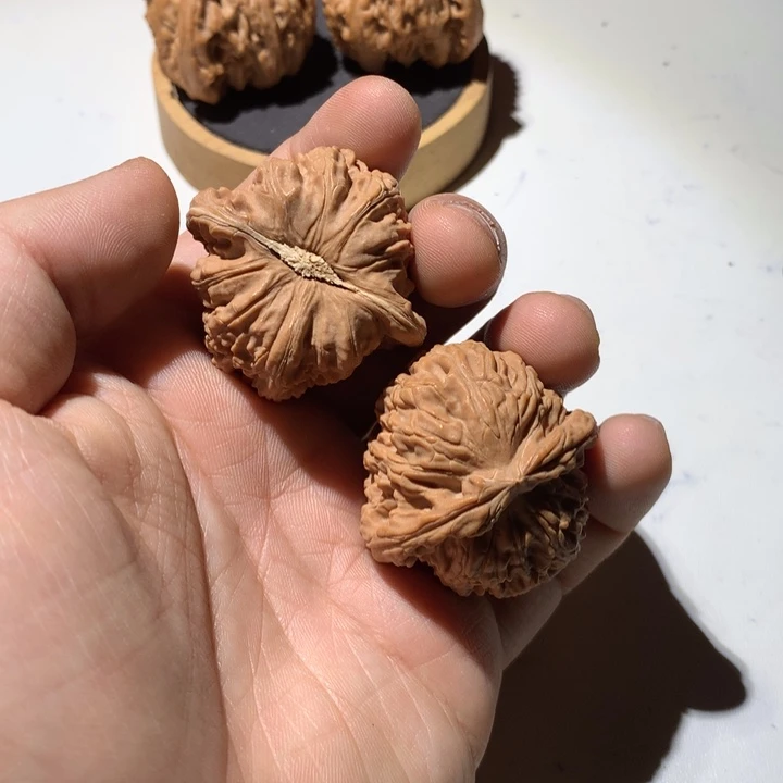 把件文玩核桃白狮子