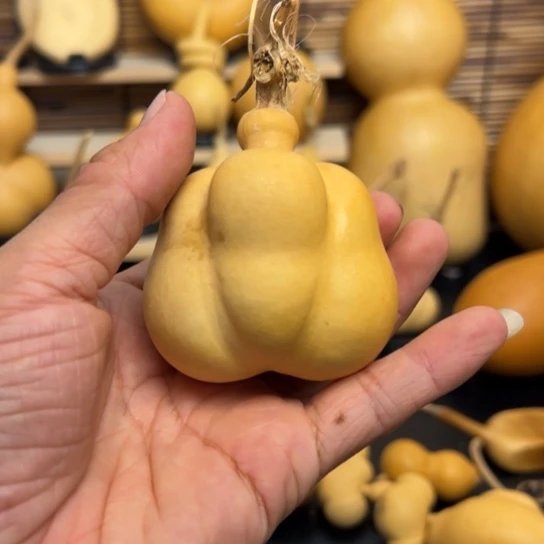 福**求559908 98889888999