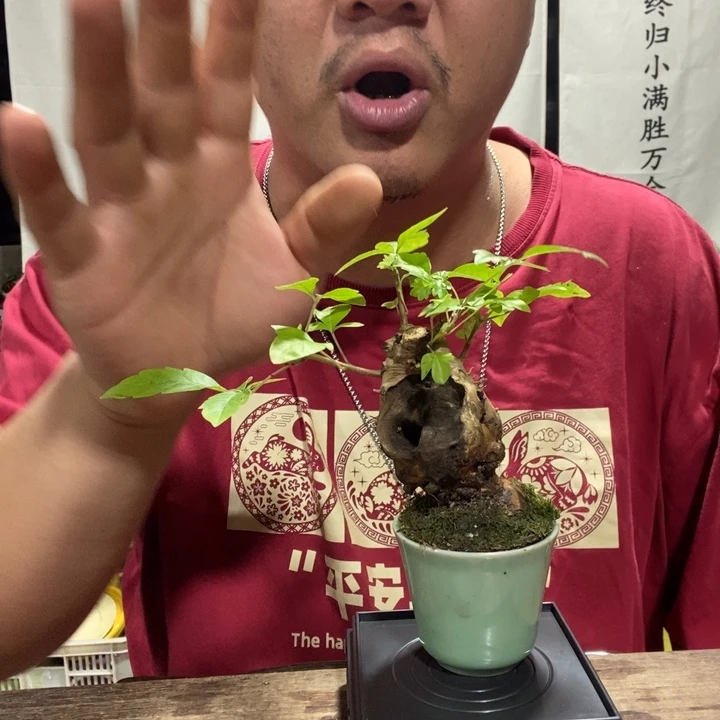 一物一拍所见即所得150