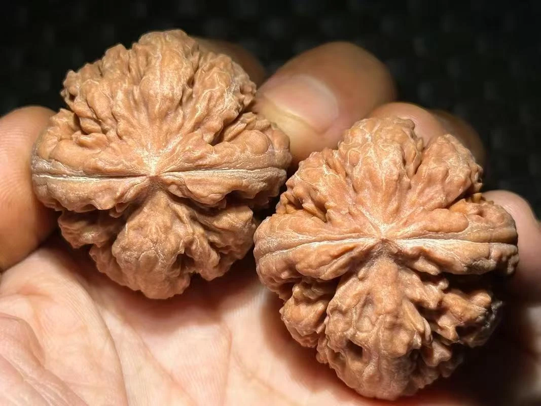 百年老树霸王龙狮子头