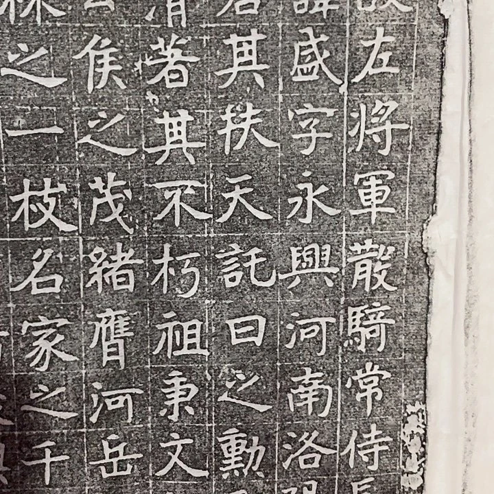 昌化石印石拓片1111122222222222