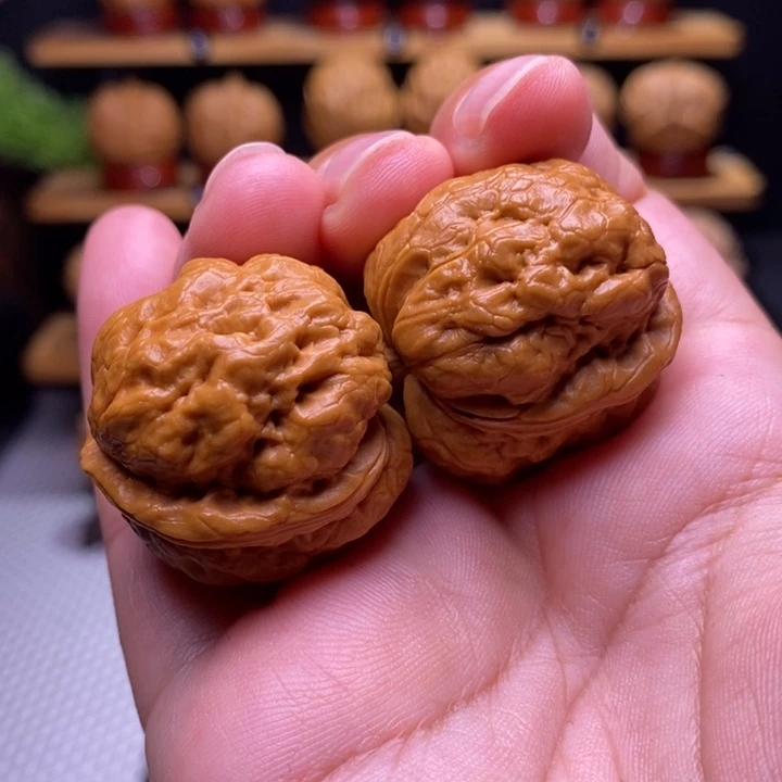 核桃云铁小玉蝉7号