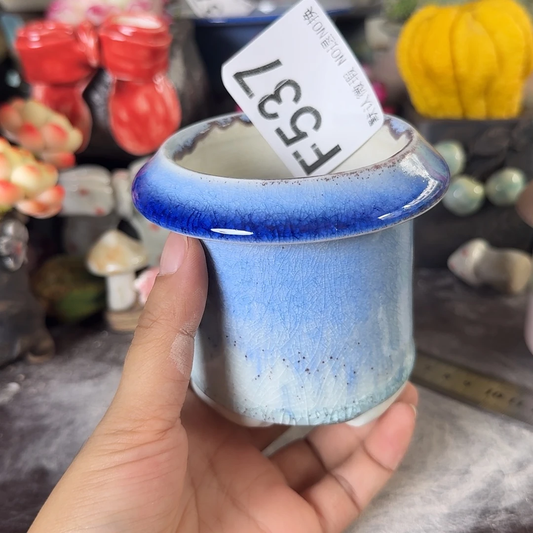 重庆小燕子欢迎大家537