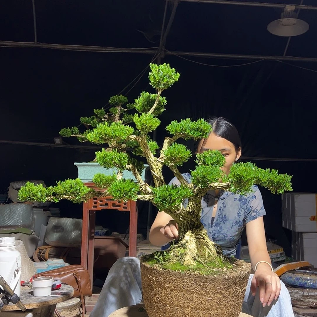 琉璃手工艺品黄杨