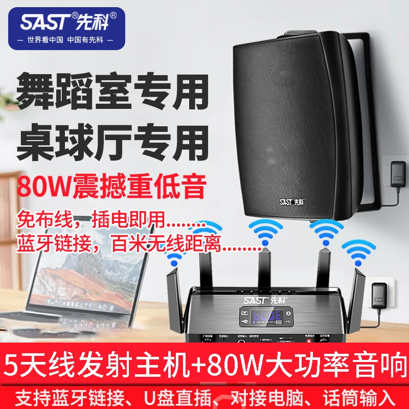 D10壁挂式音响吸顶无线蓝牙商店铺音箱专用会议重低音餐厅超市