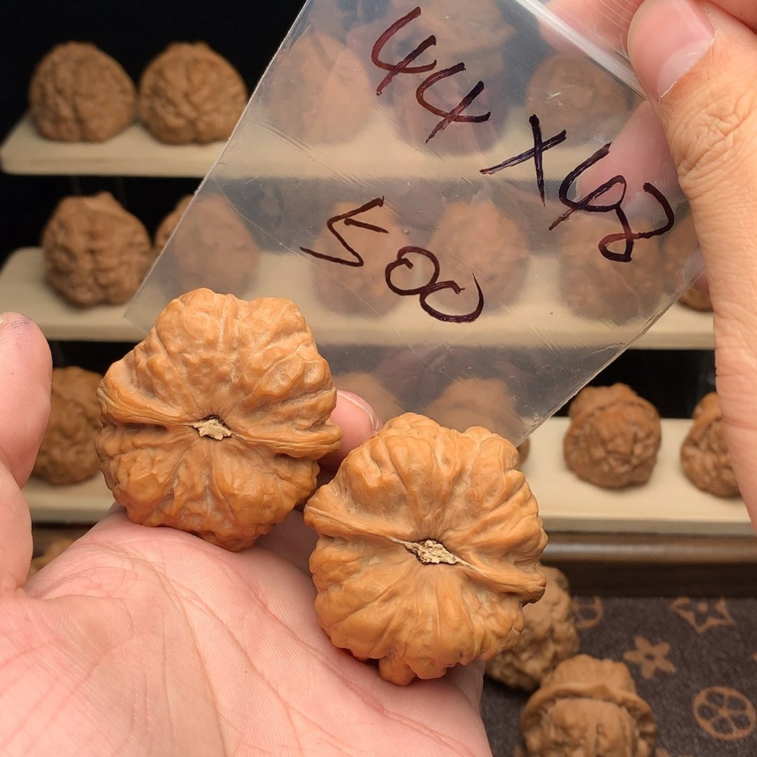 T***k核桃蛤蟆头45尺48肚