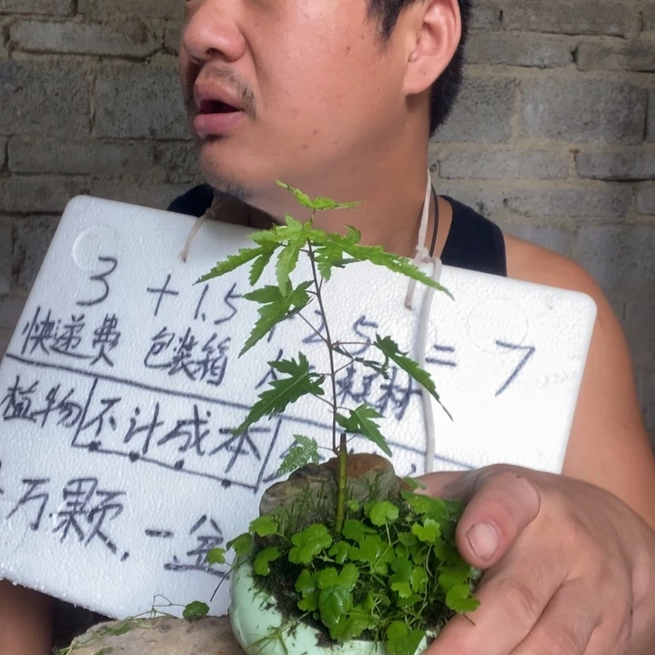 退款拉黑一物一拍236