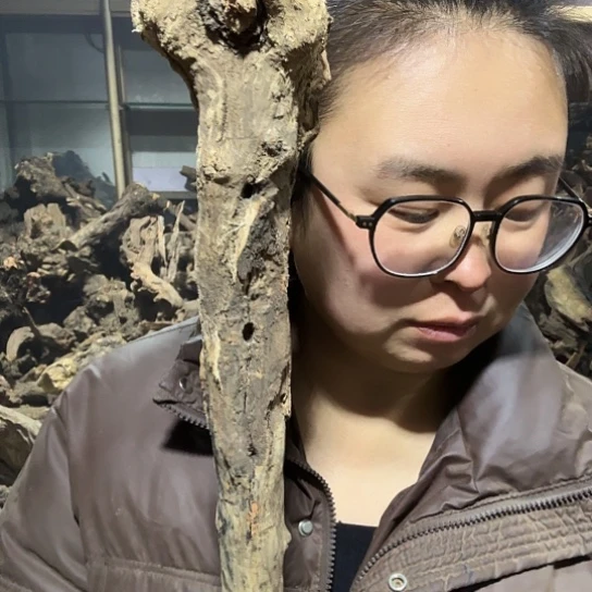 香榧木山**家火琉璃的故事毛料摆件