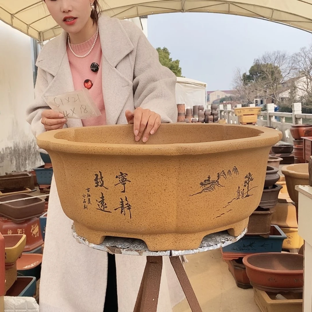 紫砂花盆紫砂花盆