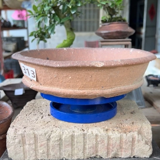 21.5x4.5///////313瑕品
