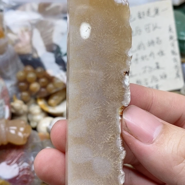 硅化珊瑚（珊瑚玉）未镶嵌颈饰