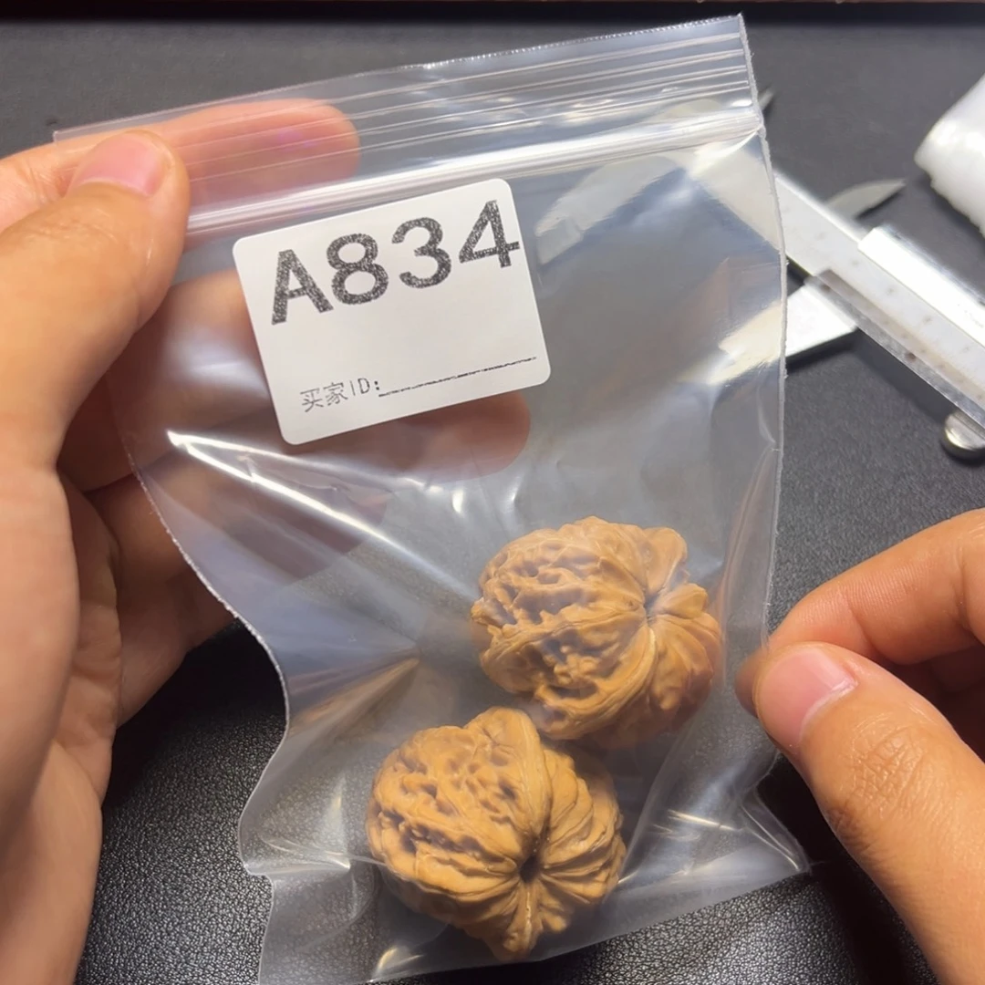 核桃哈哈哈哈哈这