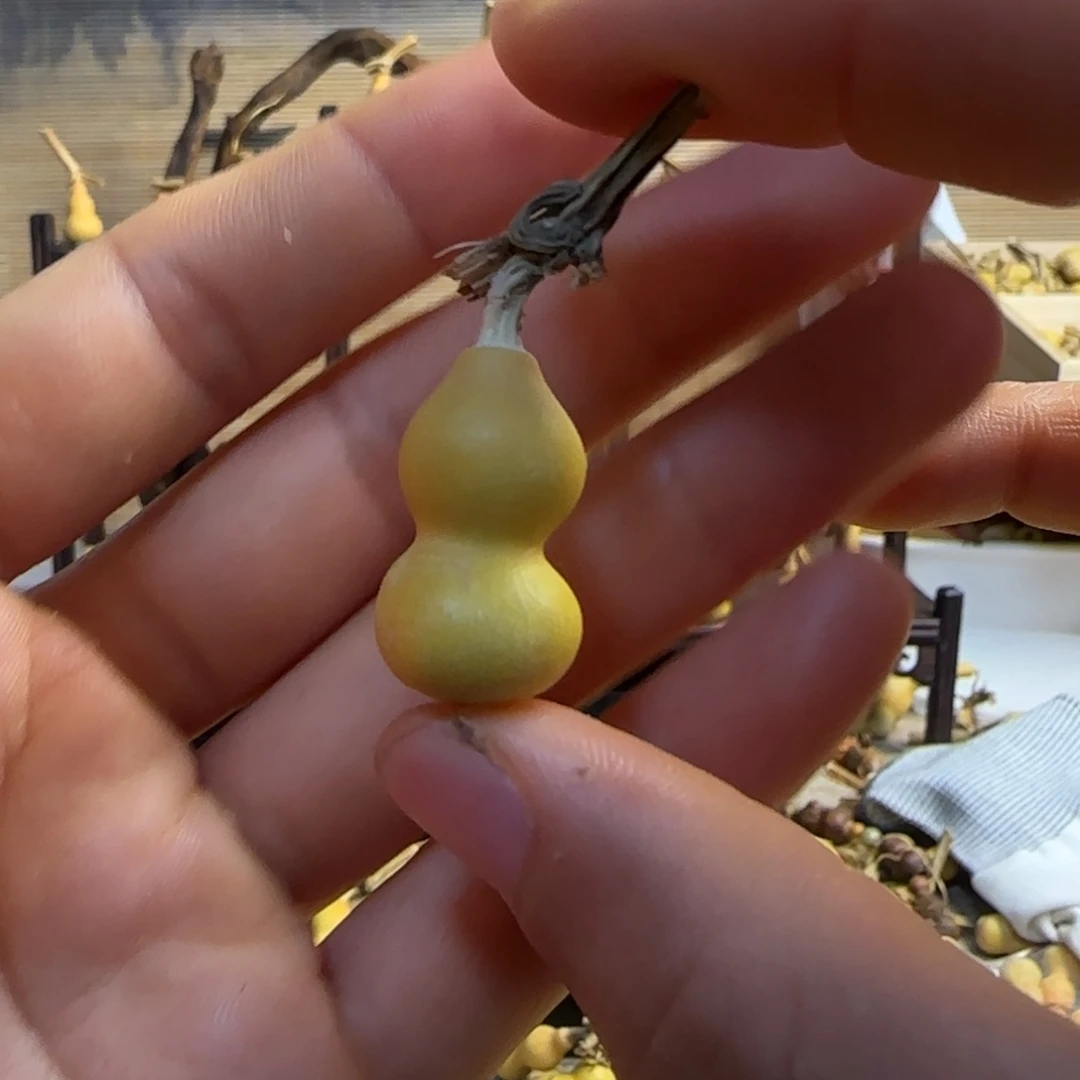 曾***缘打孔不退不换！秒拍秒退拉黑！