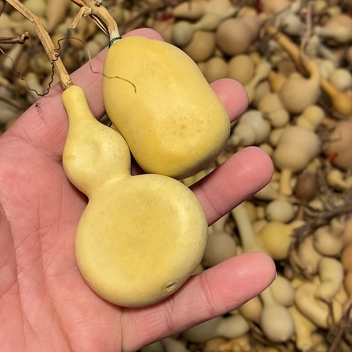 两***子精品葫芦手把葫芦80