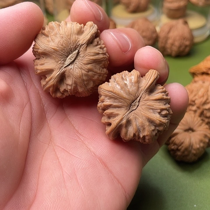 37加全品福利白狮子福利不退