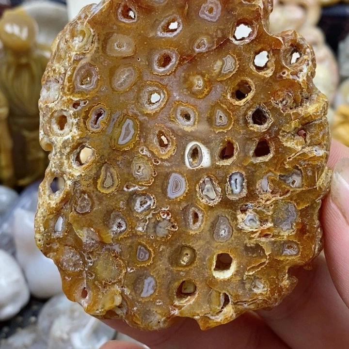 颈饰未镶嵌硅化珊瑚（珊瑚玉）