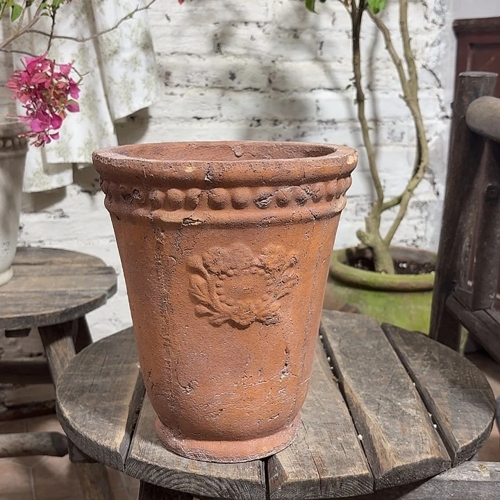 许纯的花房 微瑕点点盆