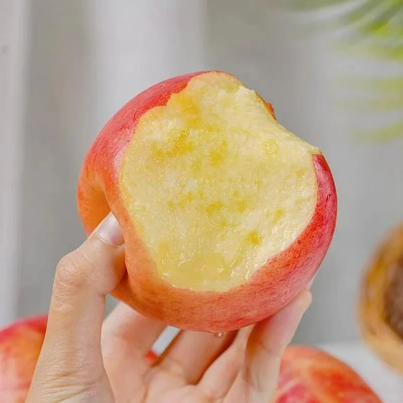 庆阳红富士优质苹果新鲜脆甜多汁应季水果糖心有机无公害现摘现发