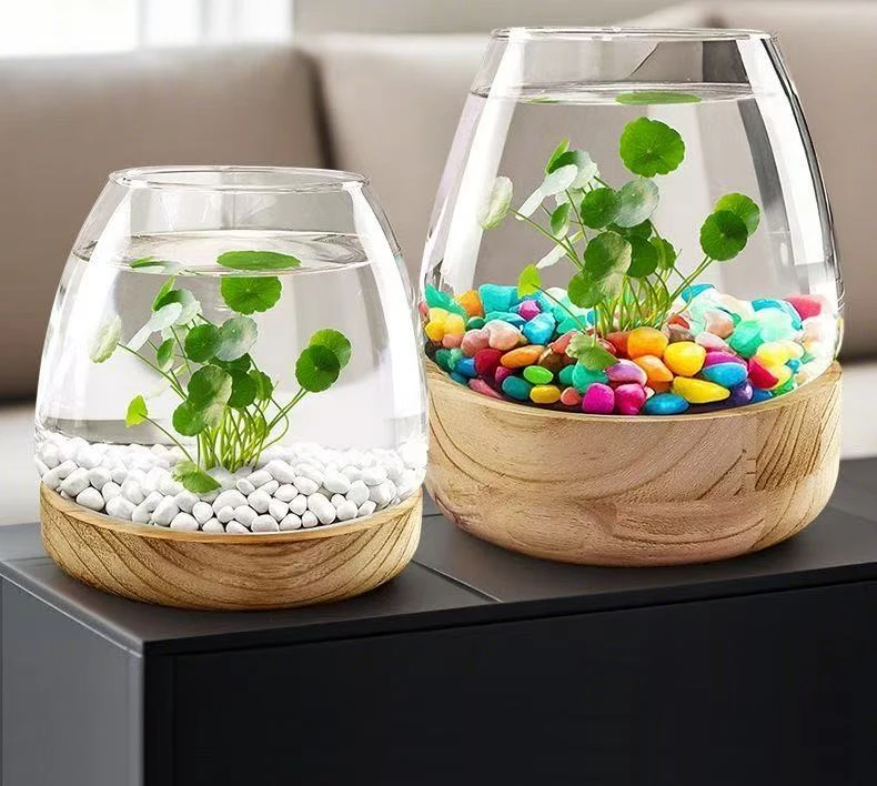 创意木托透明玻璃小鱼缸水草泥造景微景观 客厅桌面水培植物摆件