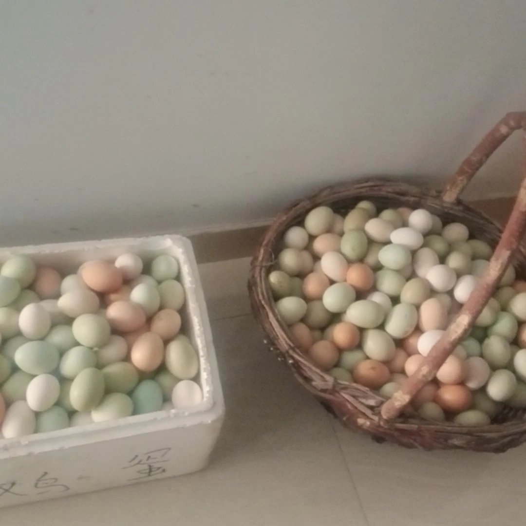 正宗农家散养土鸡蛋与乌鸡蛋混合装新鲜健康