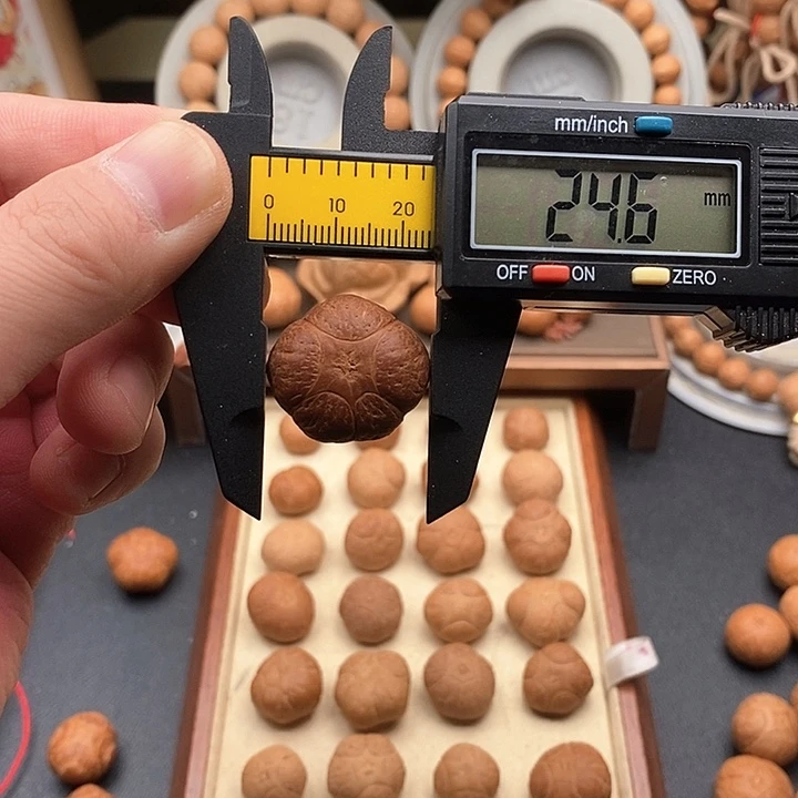 吊坠凤眼菩提尼泊尔菩提五星24.6