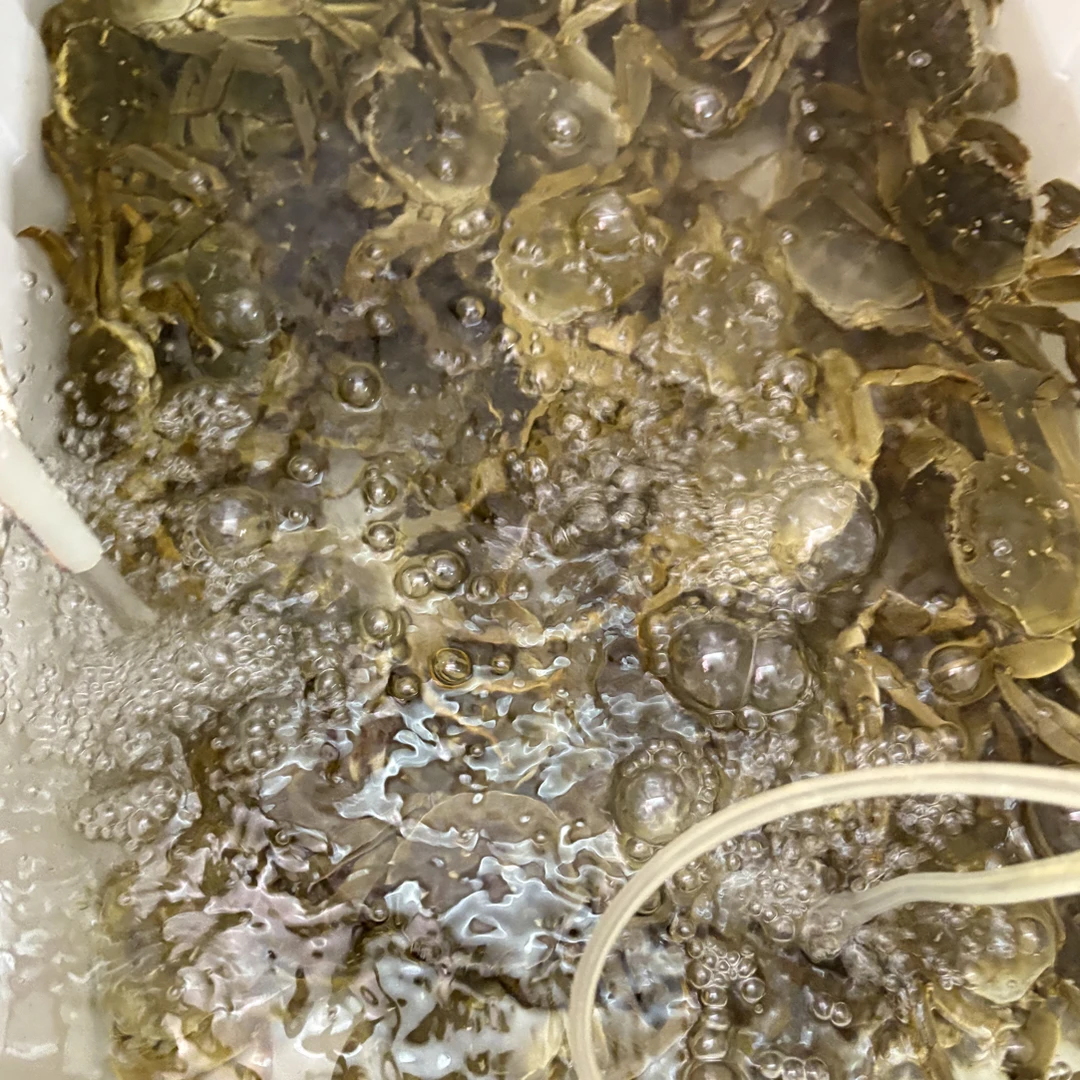 精品大闸蟹骆马湖没了腿公蟹母蟹5-10只2-4两