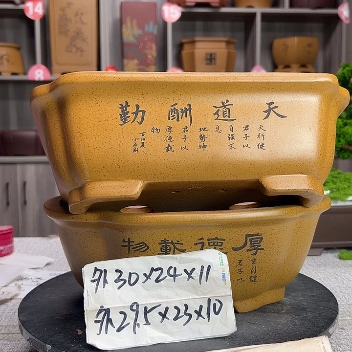 花盆紫砂紫砂第一