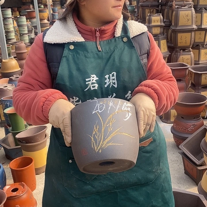 紫砂花盆盆栽花卉苗木种植