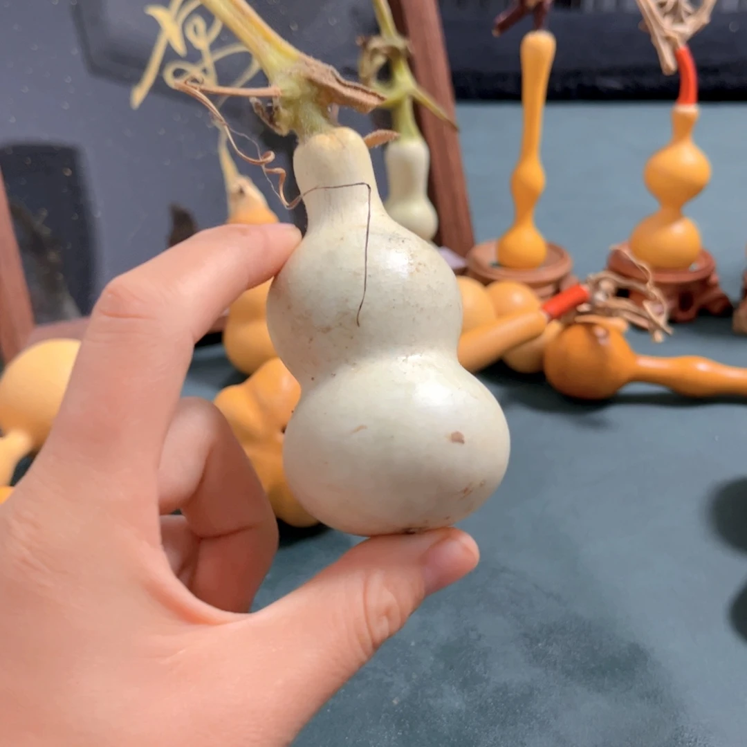 罗***鹏直播间专属链接，看好下单