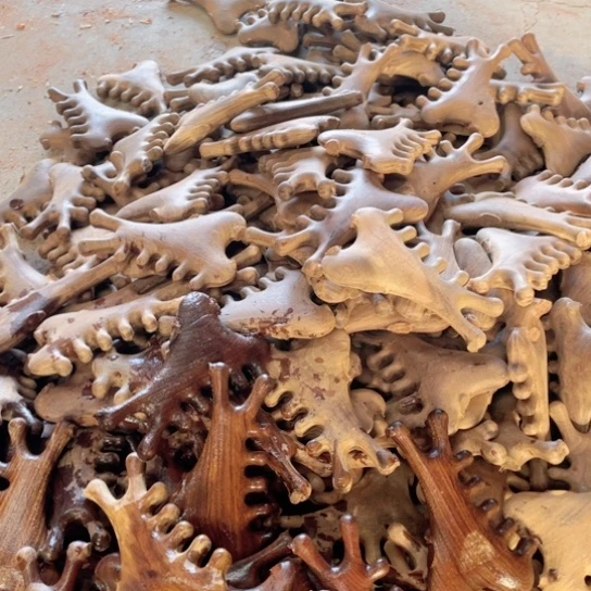 非洲紫檀（红花梨）