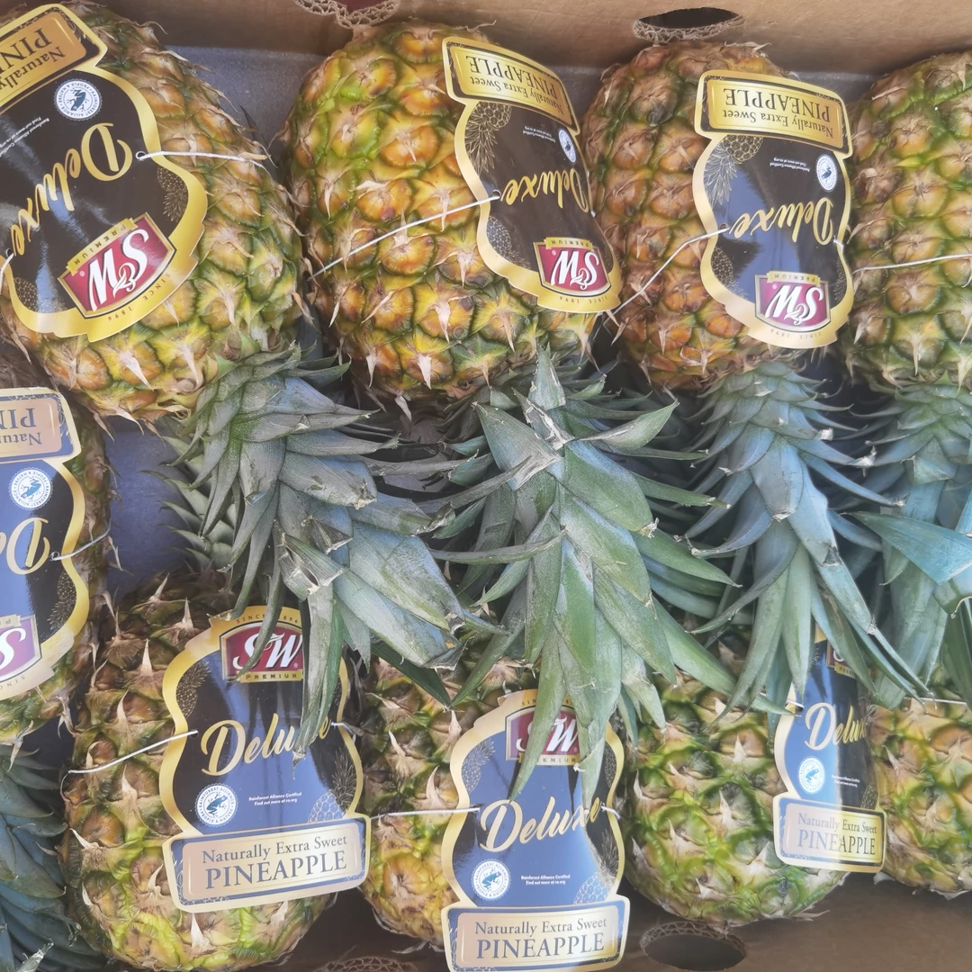 菲律宾SW蜂蜜凤梨2.5斤左右纯甜可切