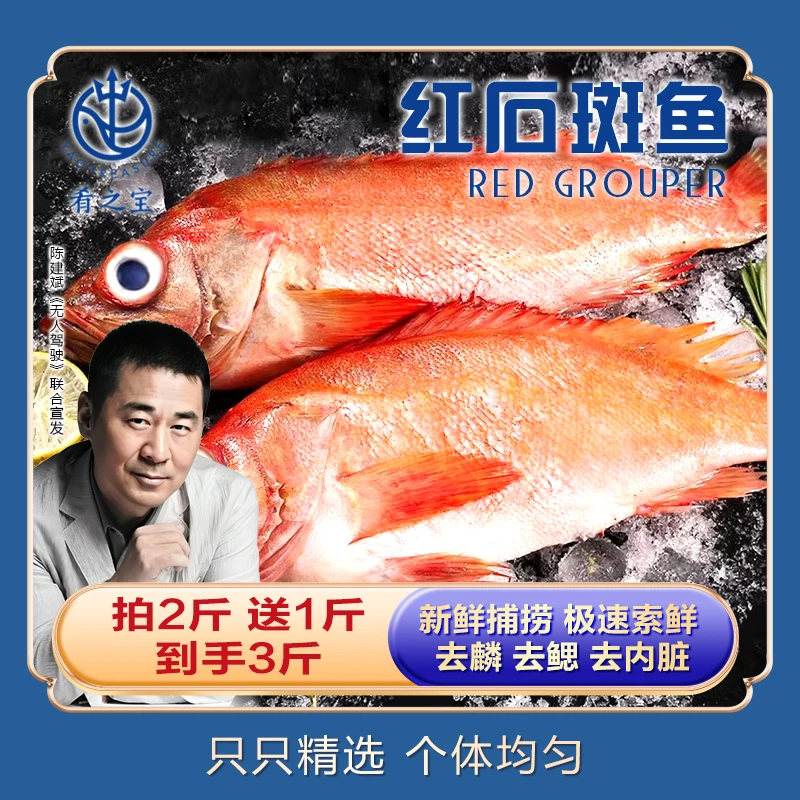 整条进口开背红石斑鱼500g*3袋（2-3条/袋）冷冻腌制去内脏红石斑鱼