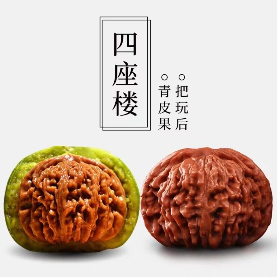 文玩核桃蛤蟆头大粗筋霸王龙狮子头 ly17325394035