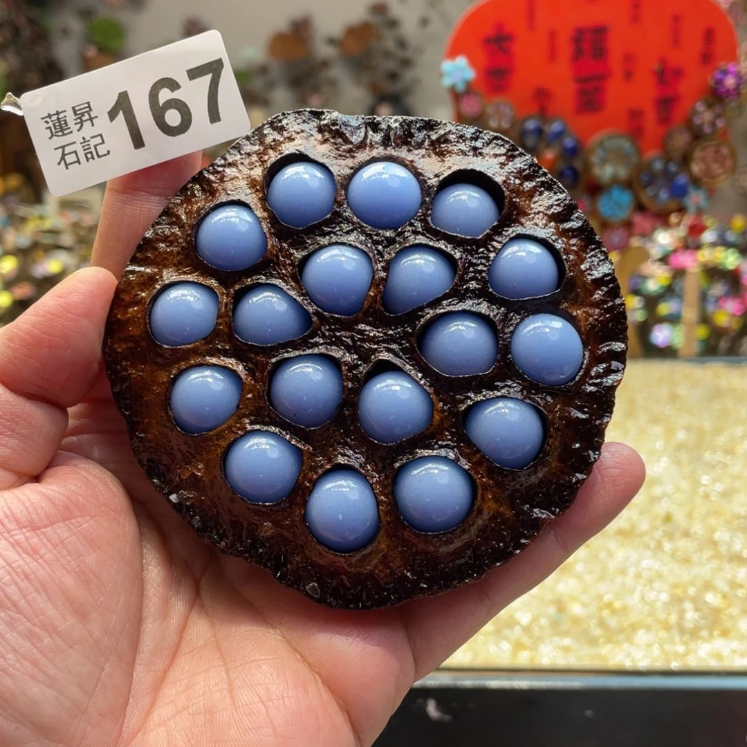 核桃木/黑胡桃（胡桃木）猫**?167夜光