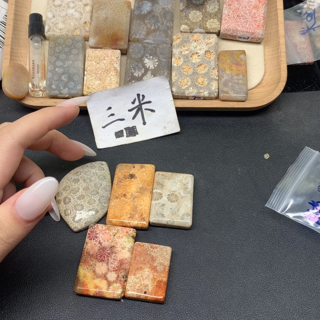 硅化珊瑚（珊瑚玉）未镶嵌颈饰