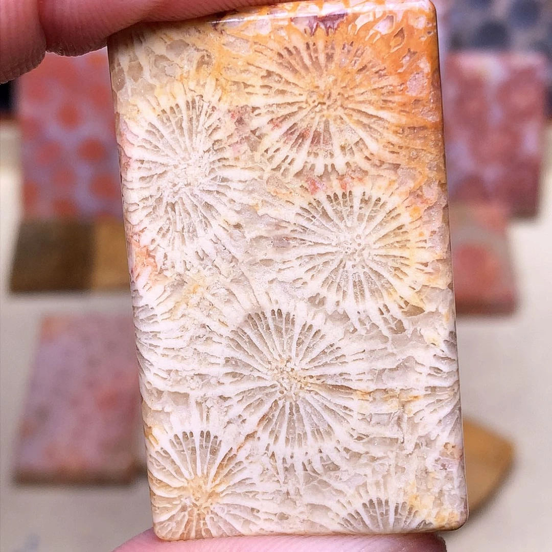 硅化玉珠宝奇石合金Z****薯